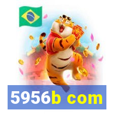 5956b com